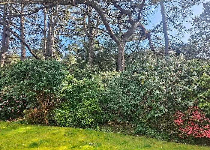 Peaceful Getaway In Forested Park